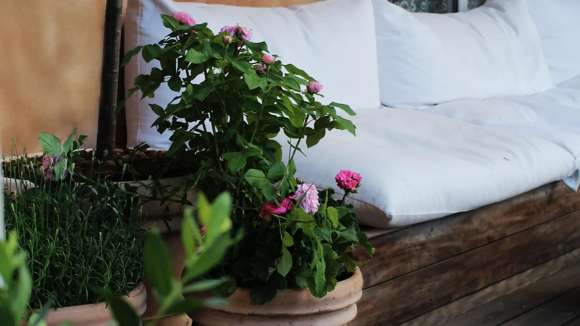 ****  Hotel Hans Copenhaga Dinamarca